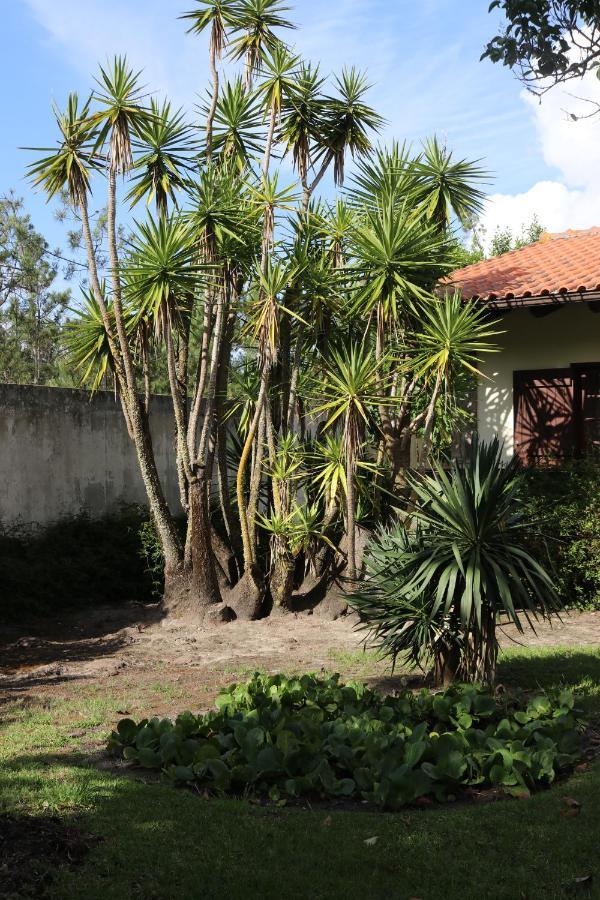 A Quinta Duna Salir de Porto Esterno foto