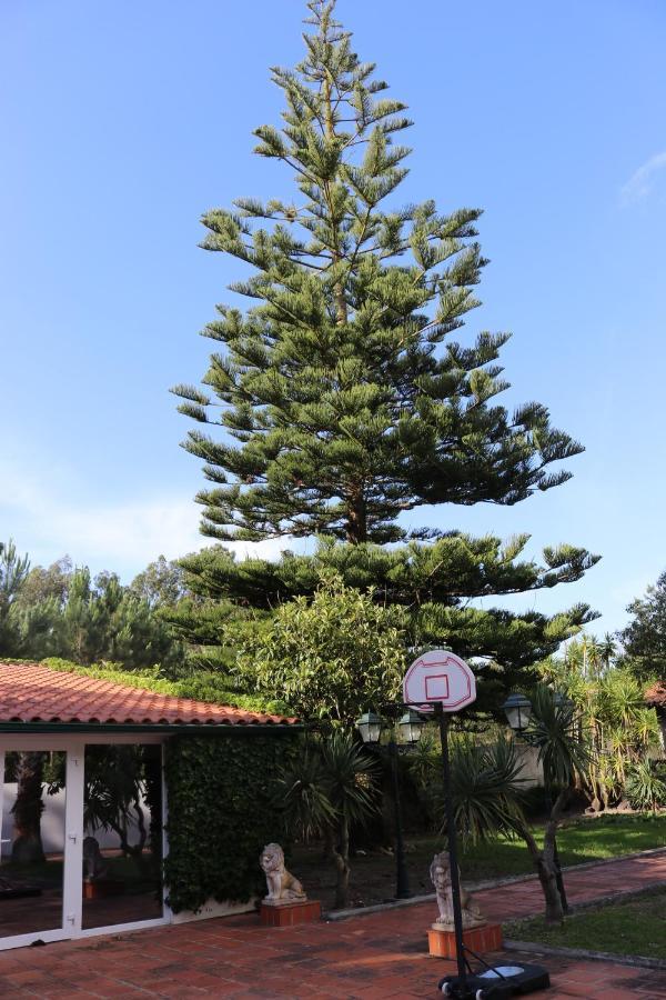 A Quinta Duna Salir de Porto Esterno foto